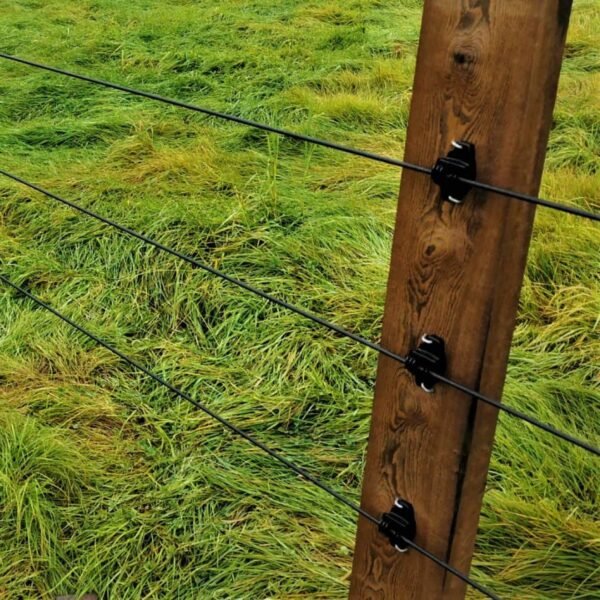Electric Horse Cable: Black