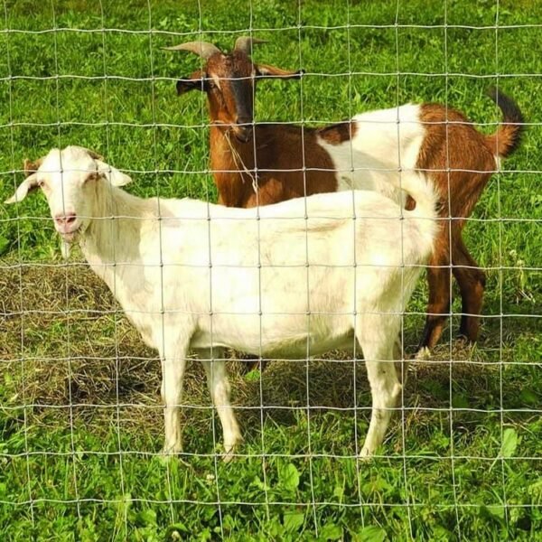 Superknot Goat and Alpaca Fence (13/122/10) - Image 2