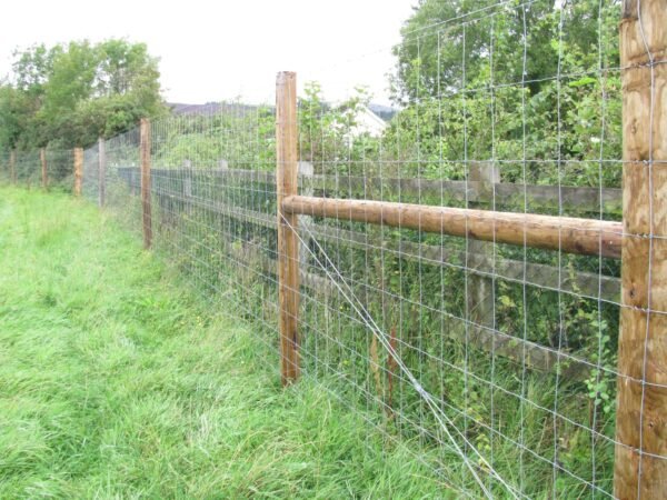 Superknot Deer Fence: 13/190/15 x 100m roll - Image 5