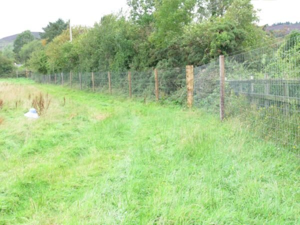 Superknot Deer Fence: 13/190/15 x 100m roll - Image 4