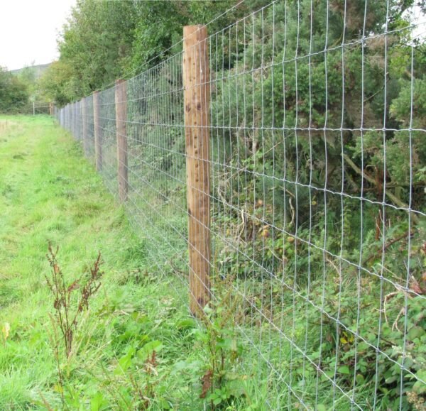 Superknot Deer Fence: 13/190/15 x 100m roll - Image 2
